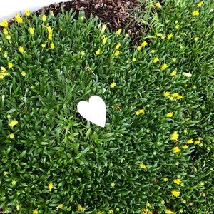 Meet your Posher, Jocelyn